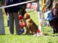 Klubový sraz - Svojanov u Moravské Třebové 2007