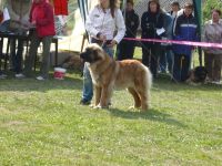 Klubový sraz - Svojanov u Moravské Třebové 2008