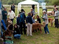 Klubový sraz - Svojanov u Moravské Třebové 2009