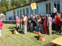 Leonberger