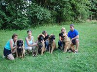 Leonberger