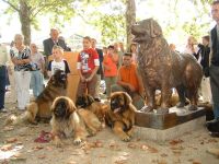 Leonberger