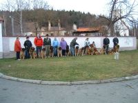 Leonberger