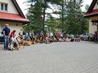 Leonberger