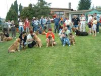 Leonberger