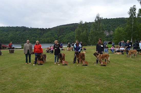 Třída veteránů-Veteranenklasse