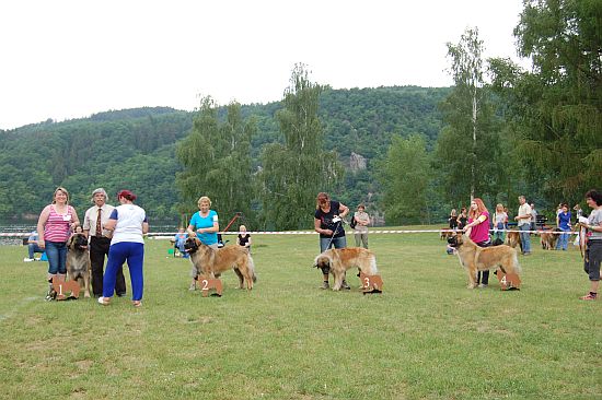 Třída mladých-Jugendklasse